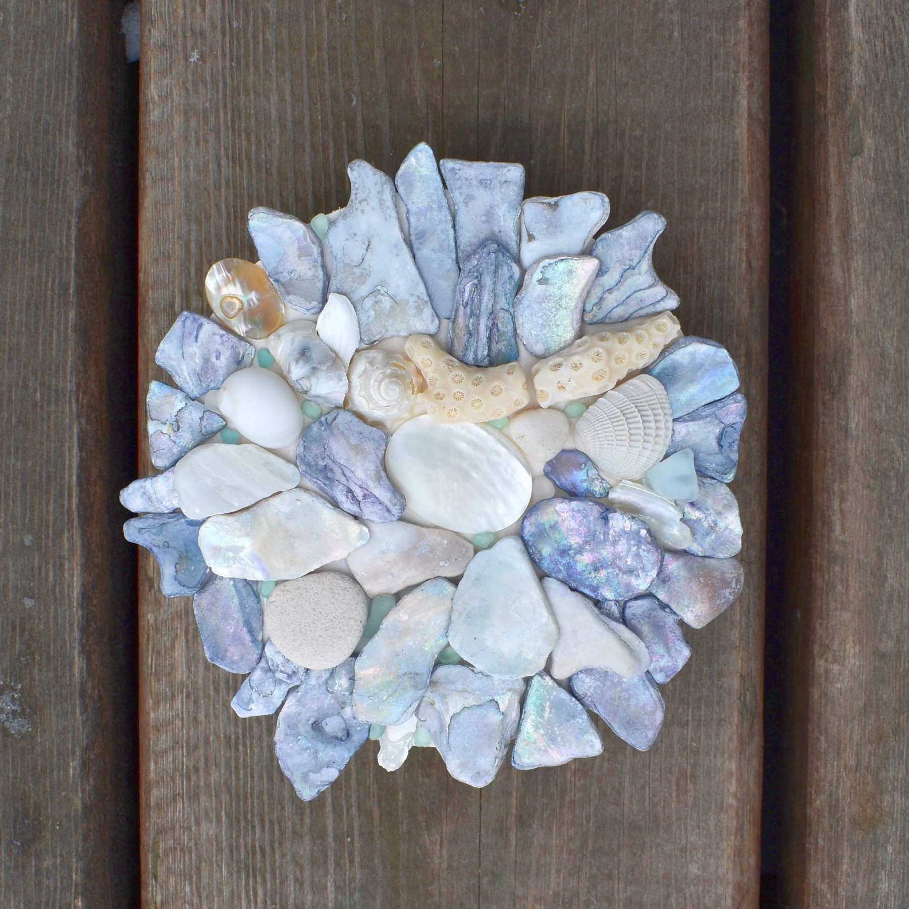 Wall Art Genuine Sea Glass & Abalone Shell BOHO Decor Etsy