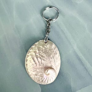 Pode incluir: Chaveiro oval com um pingente de concha perolada e iridescente. O pingente é preso a uma corrente e um chaveiro prateados. A concha tem um design em espiral e uma superfície texturizada. O fundo é azul claro.