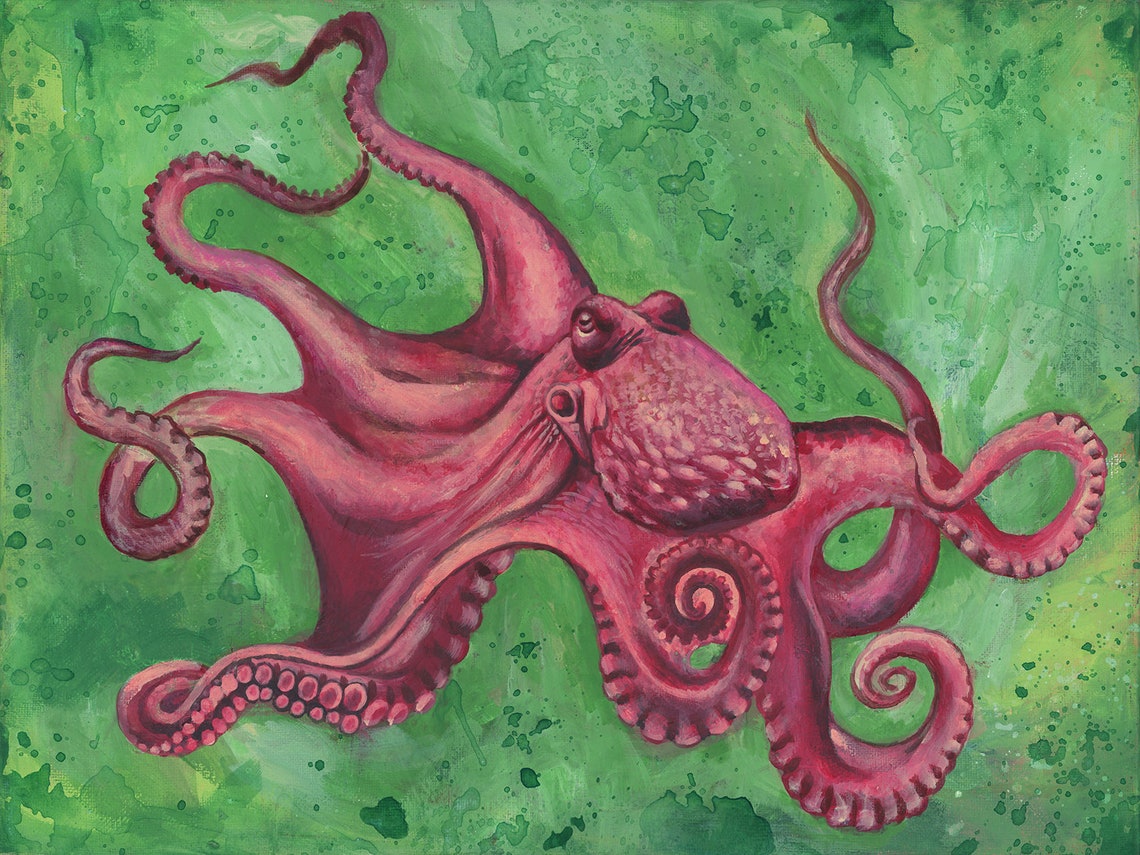 Pink Octopus Etsy