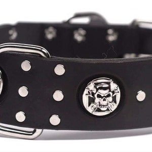 Leather Dog Collar, Large Breed