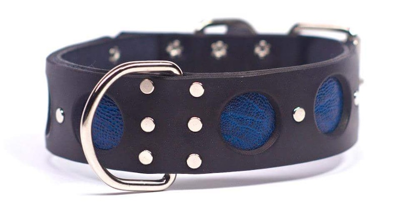 The Viper Series Large breed leather collar