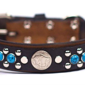 Full Grain Leather Dog Collar With Buffalo Head Nickel concho