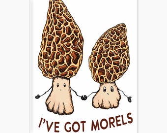 Morels Mushroom Refrigerator Magnet