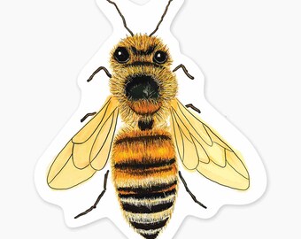 Bee - 3" Art Sticker Vinyl Decal