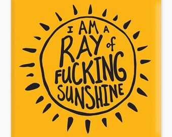 Fucking Ray of Sunshine Magnet