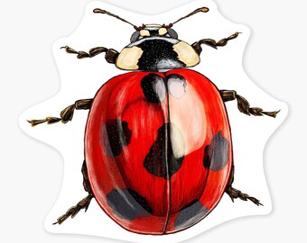 Ladybug - 3" Art Sticker Vinyl Decal