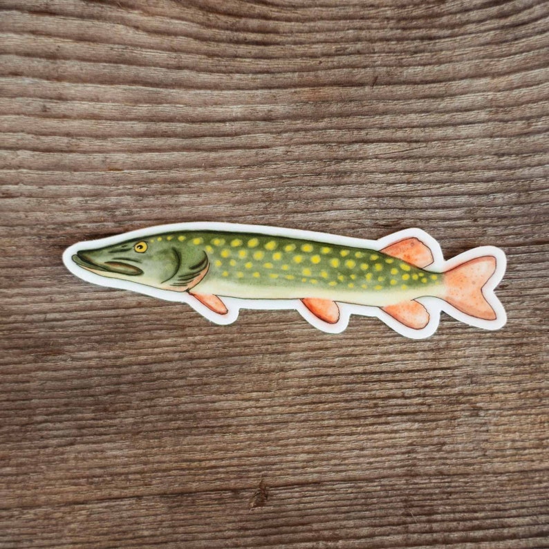 Northern Pike decal