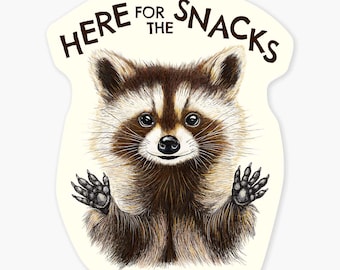 Here for the Snacks Racoon - 3" Art Sticker Vinyl Decal