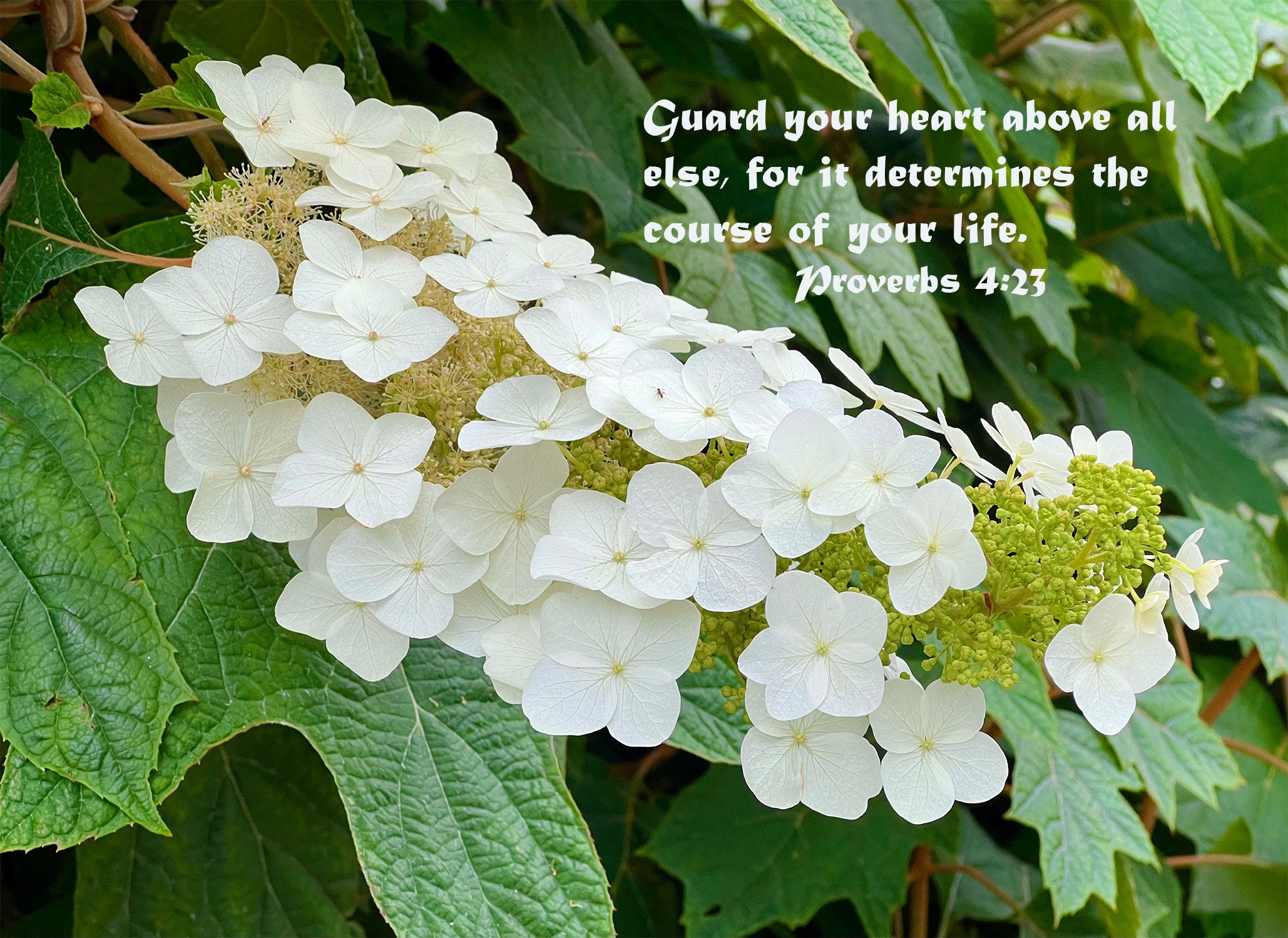 Guard Your Heart Bible Verse Proverbs 4 Verse 23 8X10 Unframed Color guard-your-heart-bible-verse-proverbs-4-verse-23-8x10-unframed-color