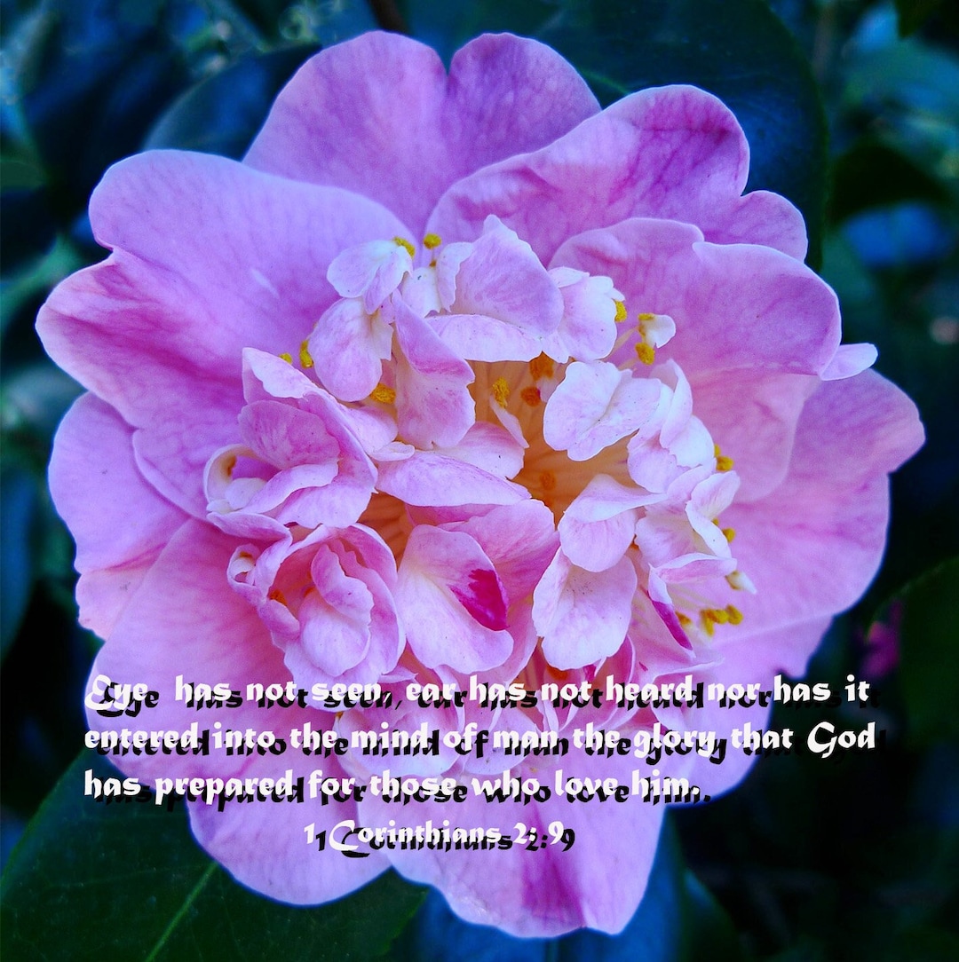 Eye Has Not Seen, Bible Verse, 8X10 Unframed Color Print, Religious