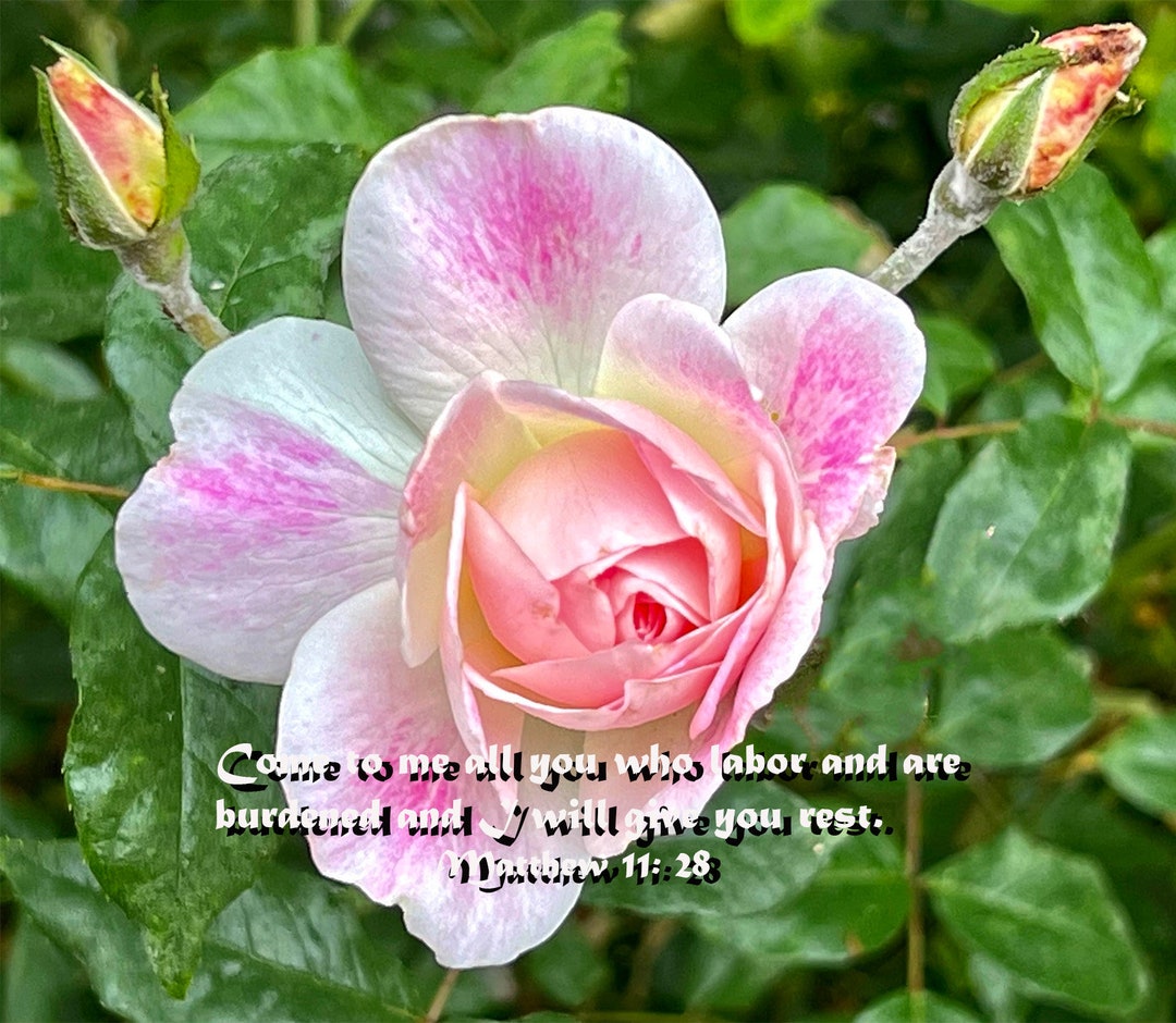 come-to-me-bible-verse-matthew-11-verse-28-religious-etsy