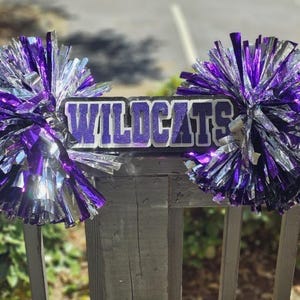 Custom cheer stick, Pom Pom cheer sign, Game Day signs, Class of sign, Personalized cheer name sign, sports cheer sign, Pom Poms, Grad cheer