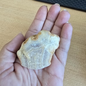 Crowley’s Ridge Agate – 2.8 oz Raw Mississippi Banded Agate, Rare Collector Specimen, Lapidary Rough Rock