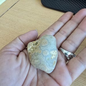 Crowley’s Ridge Agate – 1.4 oz Raw Mississippi Banded Agate, Rare Collector Specimen, Lapidary Rough Rock