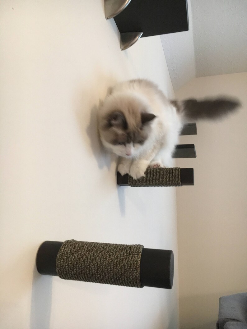 Modern floating wall-mounted climbing steps shelf perch scratch tree tower furniture Cat Post Wall Step Solid Hardwood Round or Square
