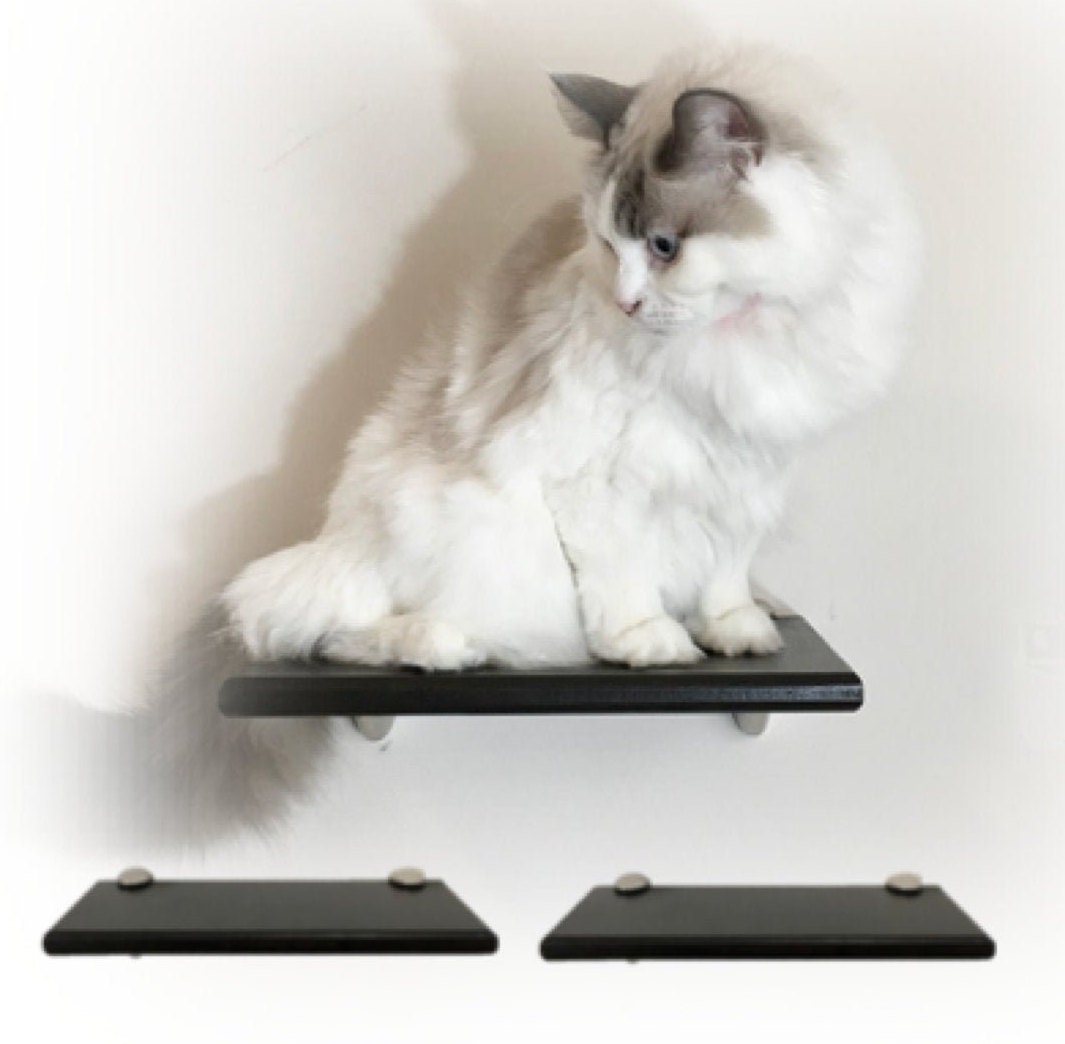Floating Cat Wall Shelf 12 Oblong Modern Wall Mounted Etsy