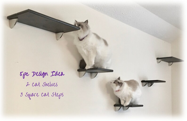 floating cat stairs