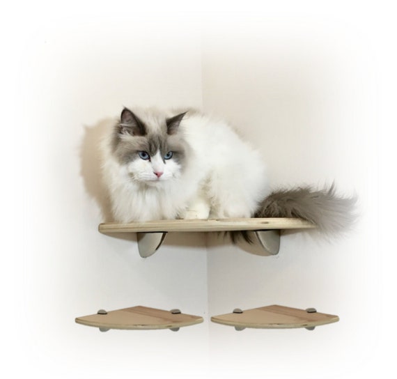 catification furniture