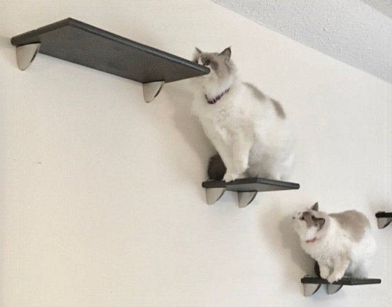 5-Piece Bath Hardware Set Wall Mounted Cat Climber Set, 42% OFF