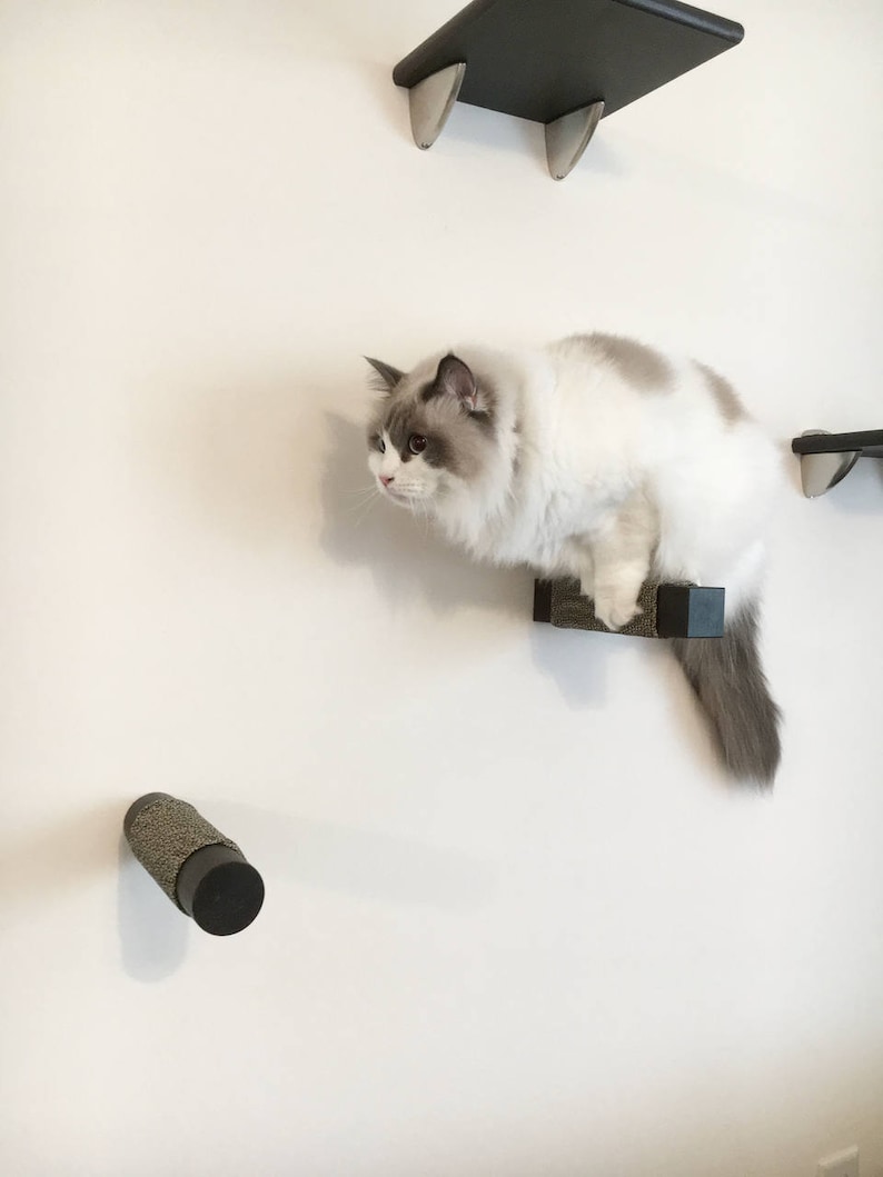 Modern floating wall-mounted climbing steps shelf perch scratch tree tower furniture Cat Post Wall Step Solid Hardwood Round or Square