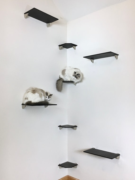 8pc Corner Cat Tree Wall Ladder Tower 4 