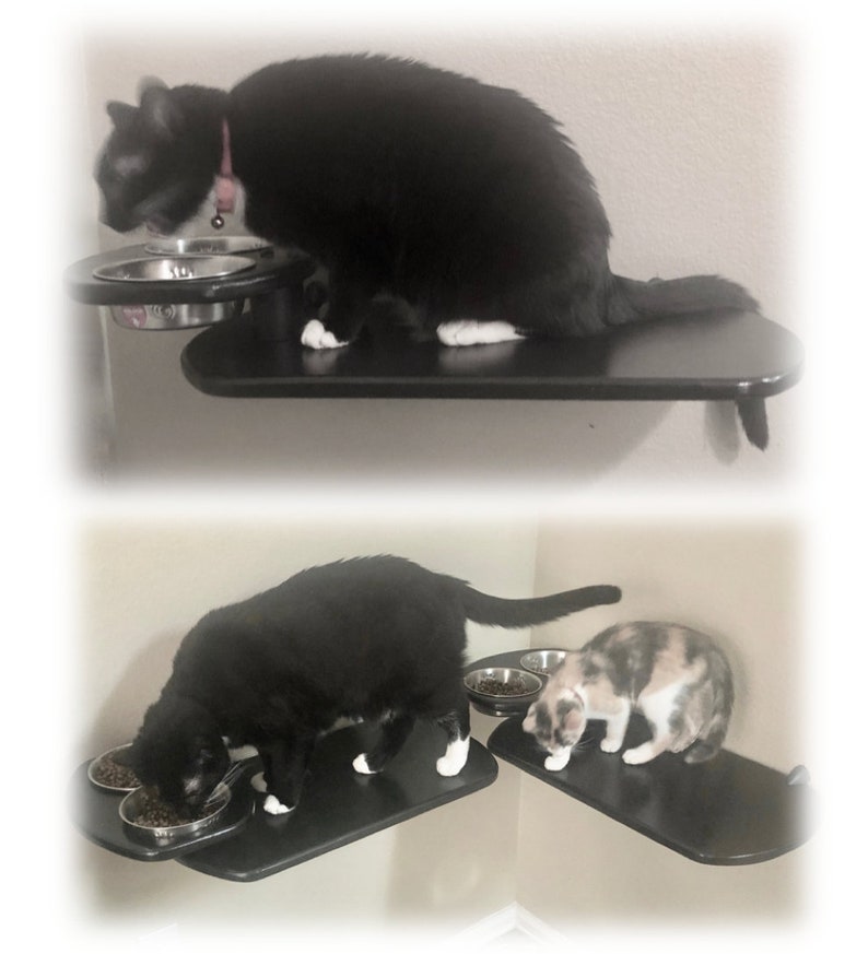 Elevated Cat Feeder Wall Shelf Raised Diner 2 bowls Modern Etsy