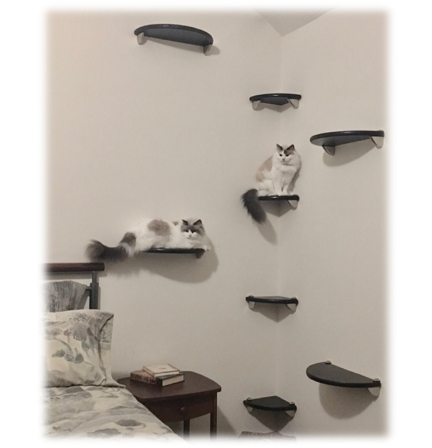 cat tower on wall