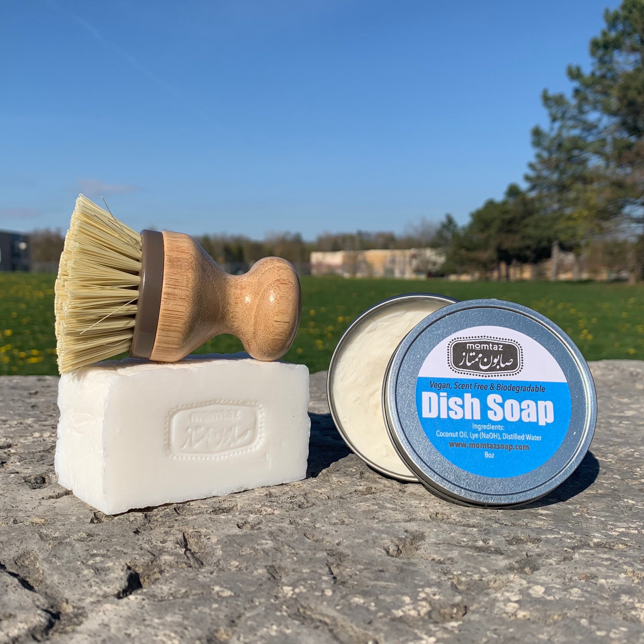 VEGAN DISH SOAP Bar Zero Waste Dish Soap Solid Dish Soap Etsy