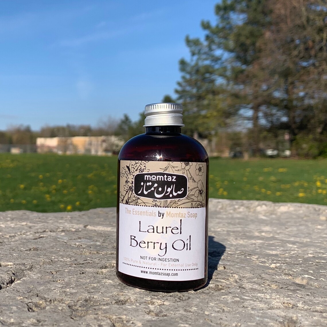 Laurel Berry Fruit Oil Aleppo Soap Oil Aleppo Soap Bar Etsy