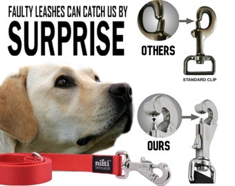 Locking dog lead 2025
