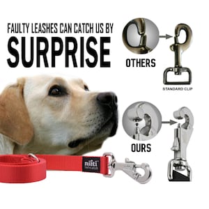 Secure Patented SafeLatch Heavy Duty Dog Leash Limits Leash Escape - Medium/Large