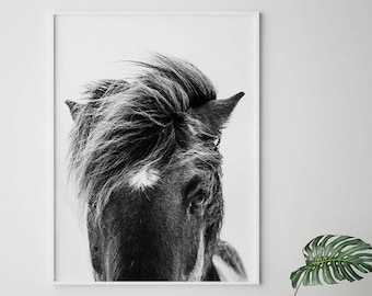 Horse Print, Horse Photo, Printable Art, Black And White Horse, Minimalist Poster, Horse Art, Wall Decor, Wall Art, Instant Download