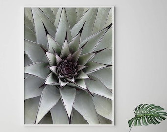 Printable Succulent Print - Scandinavian Nordic Plant Wall Art, Minimalist Green Poster, Boho Home Decor Gift (Digital Download)