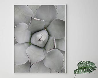 Printable Succulent Print - Scandinavian Plant Wall Art, Minimalist Green Poster, Nordic Boho Home Decor Gift (Digital Download)