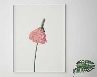 Pink Poppy Print - Scandinavian Floral Wall Art Poster, Minimalist Botanical Home Decor (Digital Download)