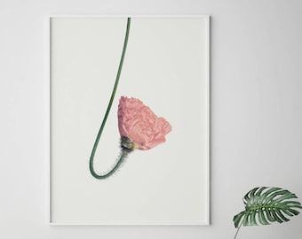 Printable Pink Flower Print - Scandinavian Minimalist Wall Art, Boho Floral Poster, Modern Home Decor Neutral Gift (Digital Download)