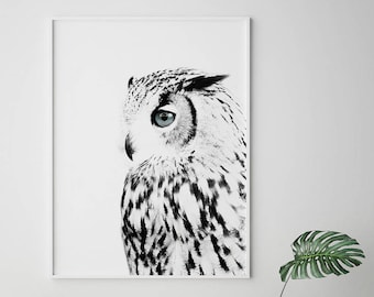 Owl Print, Snowy Owl, Scandinavian Print, Nordic Print, Black and White Art, Animal Print, Scandinavian, Affiche Scandinave,Digital Wall Art