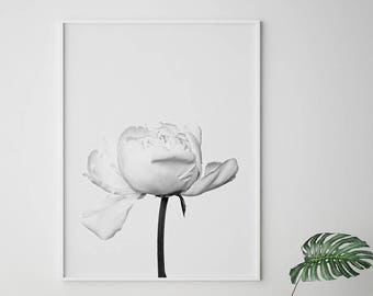 White Peony Wall Art Print - Scandinavian Minimalist Floral Decor (Digital Download)