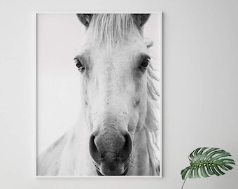 Horse Wall Art, Horse Print, Horse Art, Printable Wall Art, Digital Download Prints, Animal Wall Art, Horse Photo Print, Printable Horse