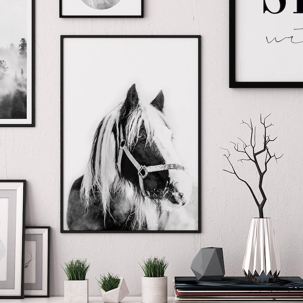 Horse Wall Art, Horse Print, Horse Art, Printable Wall Art, Digital Download Prints, Animal Wall Art, Horse Photo Print, Salt And Printer