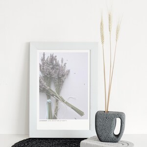 Printable Lavender Print - Modern Nordic Flower Wall Art, Minimalist Scandinavian Poster, Boho Purple Decor (Digital Download) image 3