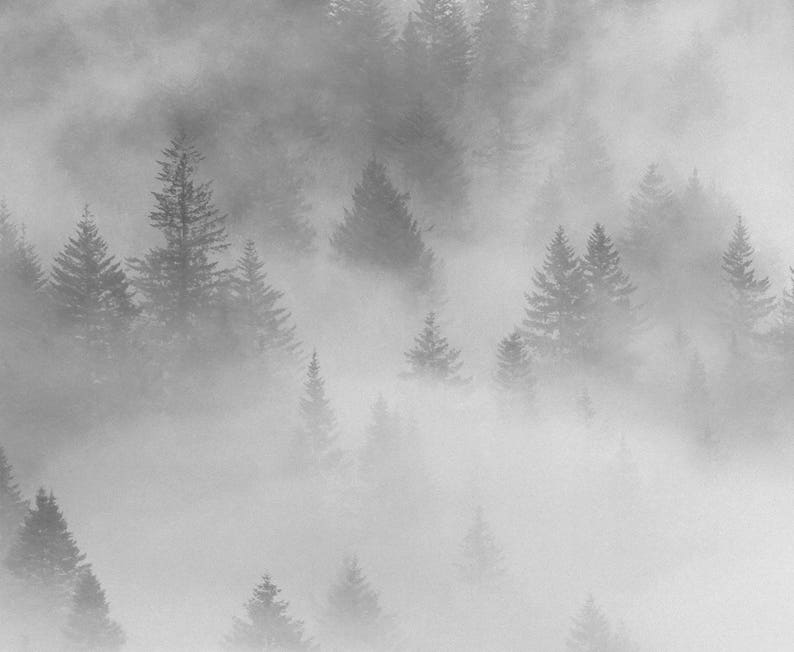 May include: A black and white photograph of a misty forest with tall, dark trees. The fog is thick and obscures the details of the trees, creating a sense of mystery and depth.