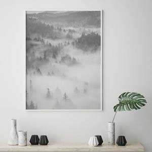 May include: Black and white photograph of a foggy forest with trees and rolling hills.