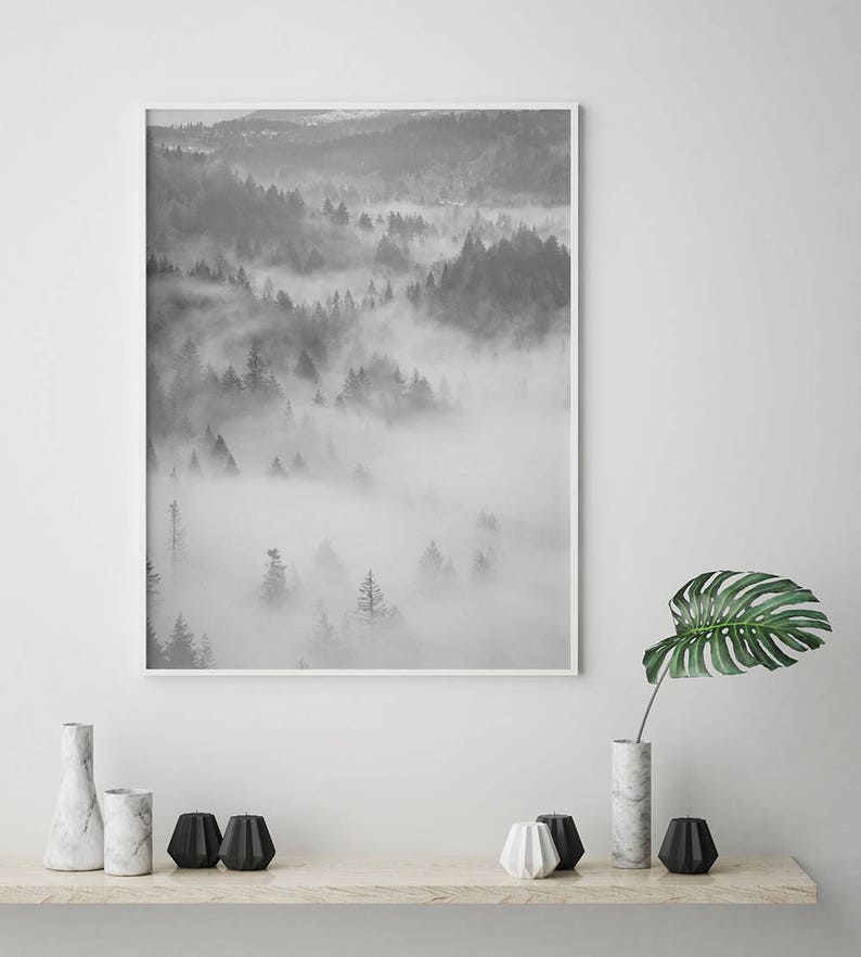 May include: Black and white photograph of a foggy forest with trees and rolling hills.