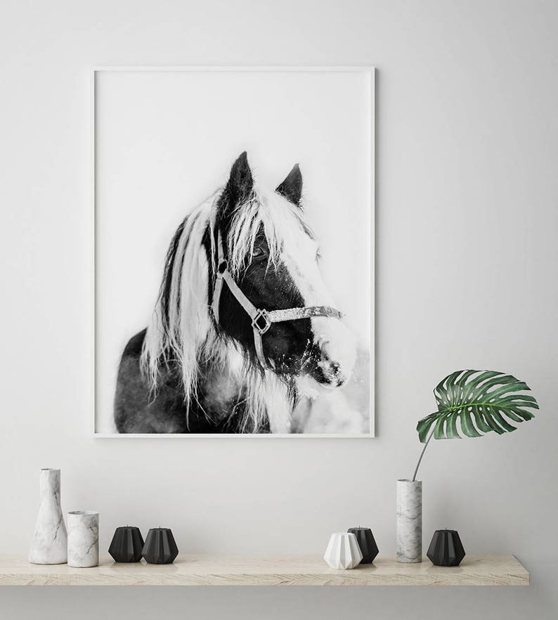 Horse Wall Art Horse Print Horse Art Printable Wall Art Etsy
