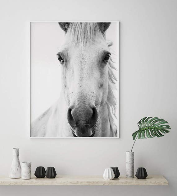 Horse Wall Art Horse Print Horse Art Printable Wall Art | Etsy