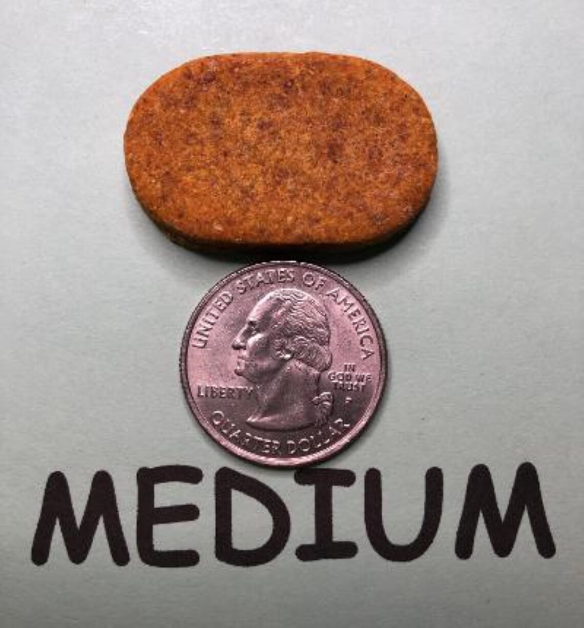 Pumpkin Dog Treats Grainfree Glutenfree Organic Etsy