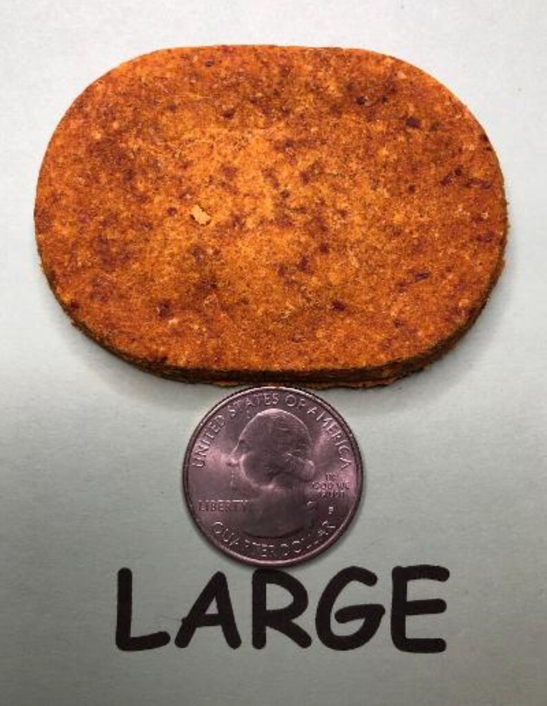 Pumpkin Dog Treats Grainfree Glutenfree Organic Etsy