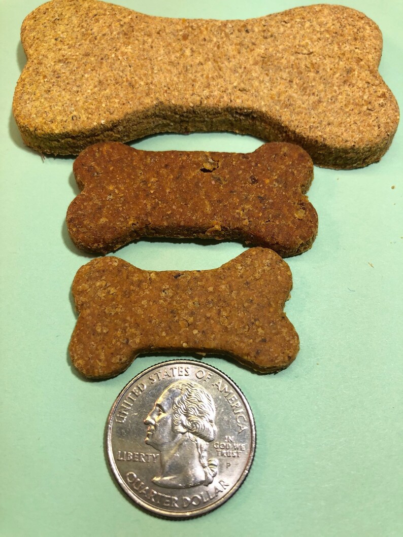 Pumpkin Dog Treats Grainfree Glutenfree Organic Etsy