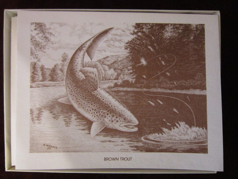 Brown Trout Boxed Note Cards 10 Cards with 10 Envelopes per Box